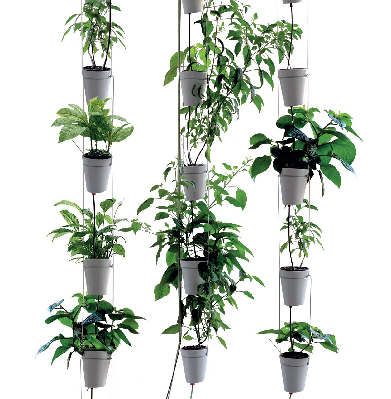 Window Garden Pendant by Danese Artemide Design Accessories